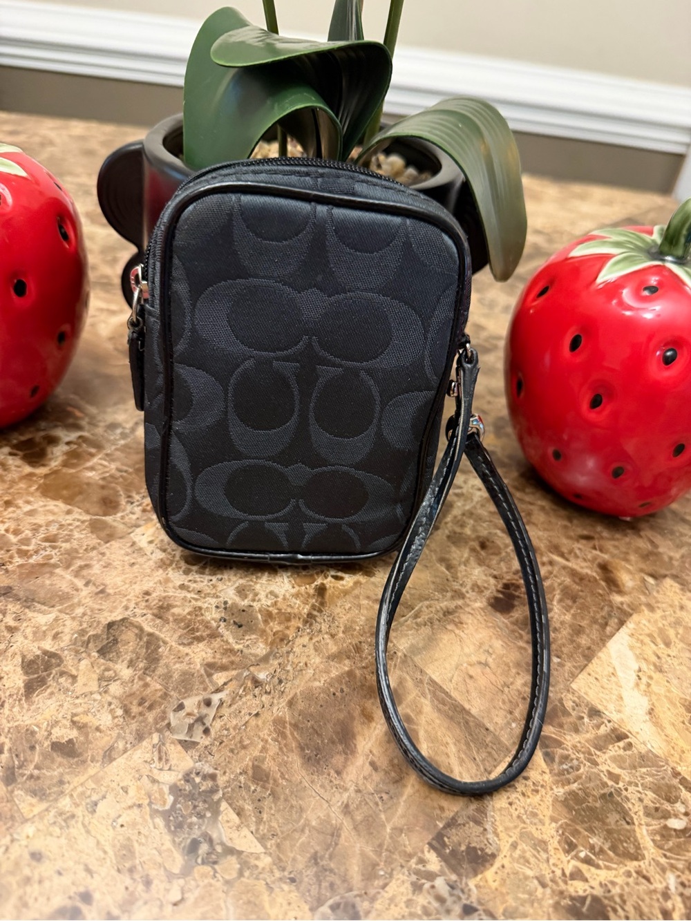 Y2K-era Coach Daisy Pop Optic Camera Pouch - Picture 4 of 9